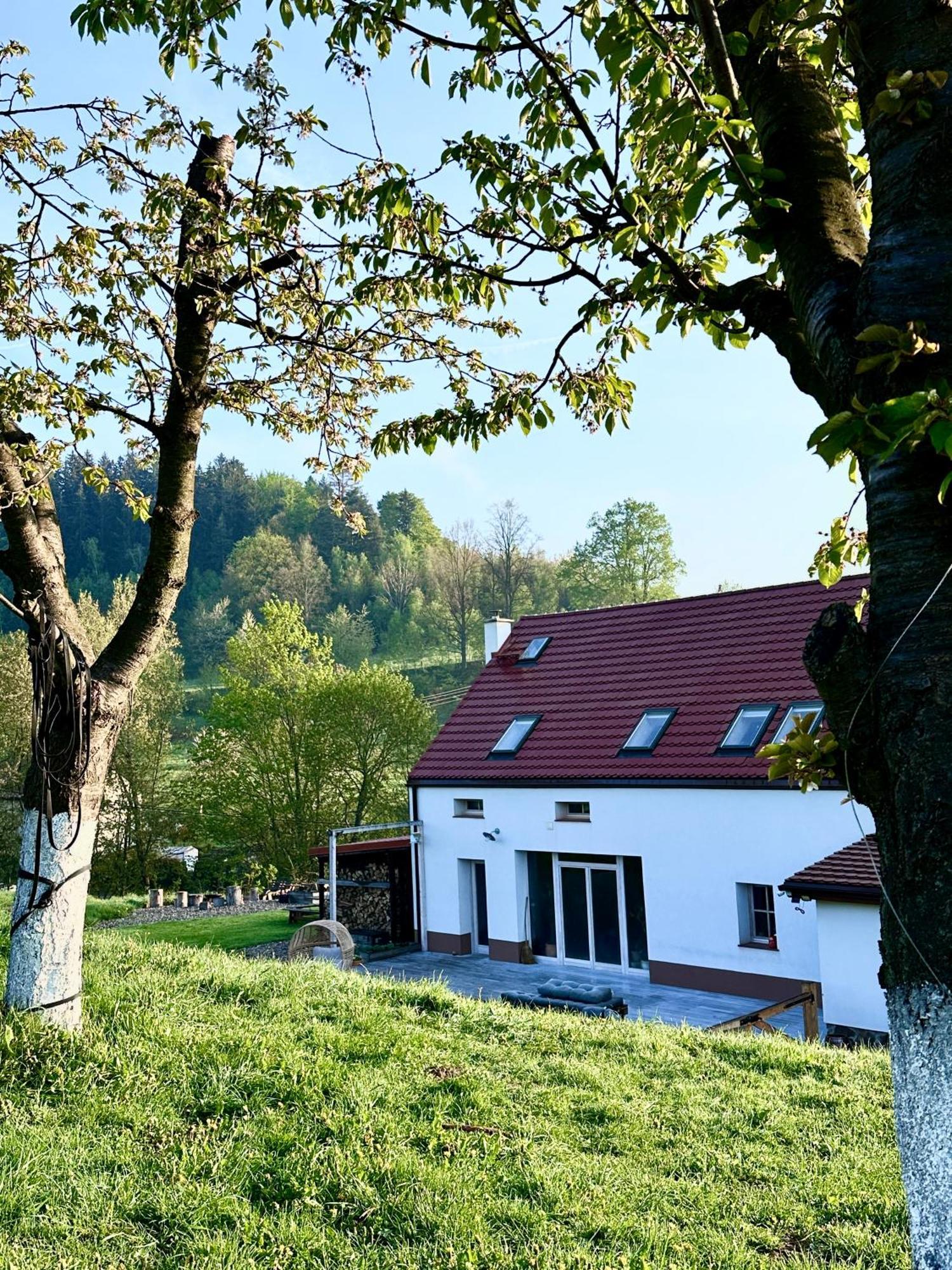 Villa Zapomnienie Nowa Ruda Exterior foto